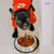 Porta Ração Pote com Tampa Dispenser Cães Gatos Home 8L 3,5kg - PlastPet - Armazene com Conforto na internet