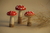 3 Cogumelos de Madeira - Colorido - comprar online
