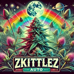 Zkittlez AUTO ( PACK 2UN )