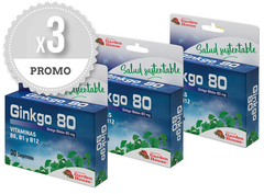 Ginkgo 80 - Pack x 3