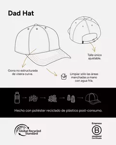 HUEMUL DAD HAT (AC028) en internet