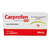 Carprofen 100mg Vansil 14 comprimidos Anti-inflamatório para cães