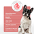 K-Treat Shampoo Micelar 500ml Soft Care Pet Society Cães e Gatos - loja online