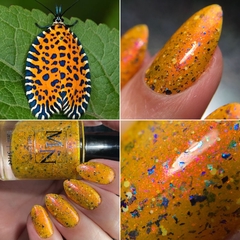 Leaf Roller Moth - Coleção Insecta - comprar online