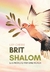 Brit Shalom - Leis Práticas para Bnei Noach - comprar online