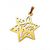 Pingente Estrela de David em ouro 14K com recorte Shema Yisrael no centro