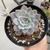 Graptoveria Milk Way