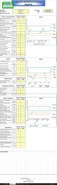 NEPSY II BATERIA NEUROPSICOLOGICA INFANTIL SOFTWARE CORRECTOR AUTOMATIZADO ILIMITADO - comprar online