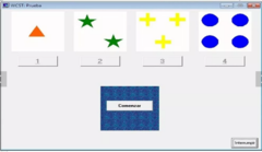 Software Test De Clasificación De Cartas De Wisconsin (WCST) - comprar online