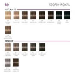 12u. Igora Royal - PROMO - comprar online