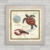 QUADRO DECORATIVO ANIMAIS 26 - PRAIA E MAR