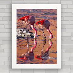 QUADRO DECORATIVO ANIMAIS 32 - FLAMINGOS