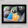 QUADRO DECORATIVO ANIMAIS 44 - PAPAGAIO