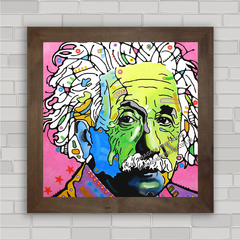 QUADRO DECORATIVO EINSTEIN na internet