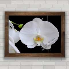 QUADRO DECORATIVO FLOR 44 na internet