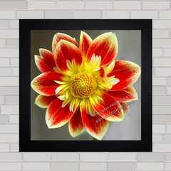 QUADRO DECORATIVO FLORES 212