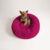 Cama Dog Love™️ Soft Version - tienda online