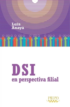 DSI en perspectiva filial