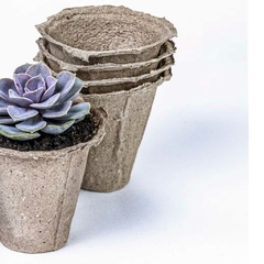 Kit 5 Vasos Florais Biodegradáveis M - loja online