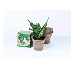 Kit 3 Vasos Florais Biodegradáveis G - comprar online