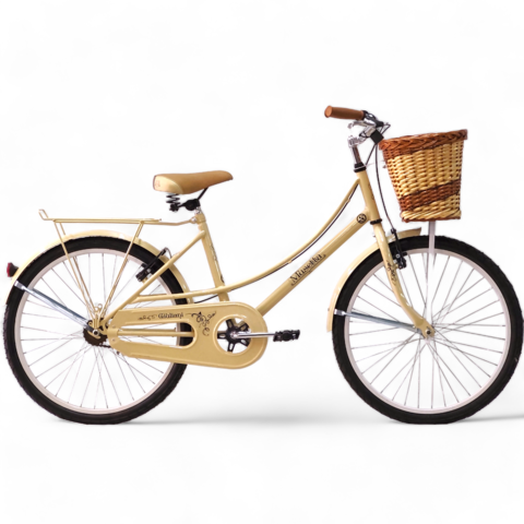 R24 MUSETTA VINTAGE 6Vel V Brake