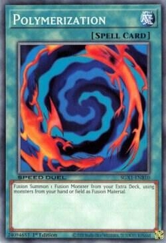 Polymerization - SDHS - Common