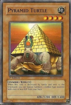 Pyramid Turtle - SDZW - Common