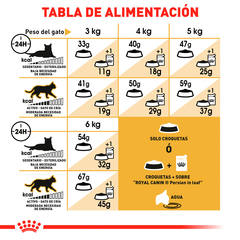 Imagen de Royal Canin Gato Persa Adulto, 3.1 kg