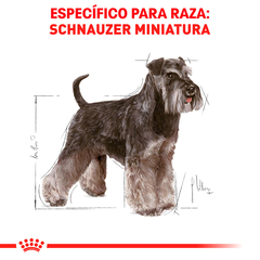 Royal Canin Schnauzer Adulto, 4.5 kg - comprar en línea