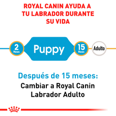 Royal Canin Labrador Cachorro, 13.6 kg - tienda en línea