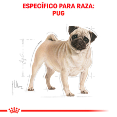 Royal Canin Pug Adulto, 4.5 kg en internet