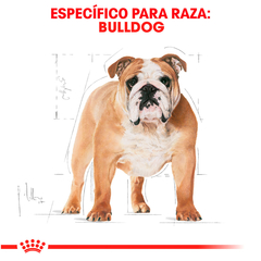 Royal Canin Bulldog Adulto, 13.6 kg - comprar en línea