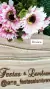 Passamanaria Trançada 10mm (metro) - Luxo - loja online