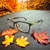 Armação Para Óculos de Grau Classe A Feminino Onça e Verde - AGF.C3.7673 - comprar online
