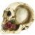 Cinzeiro Crânio Esqueleto Caveira Em Resina Decorativo Flor
