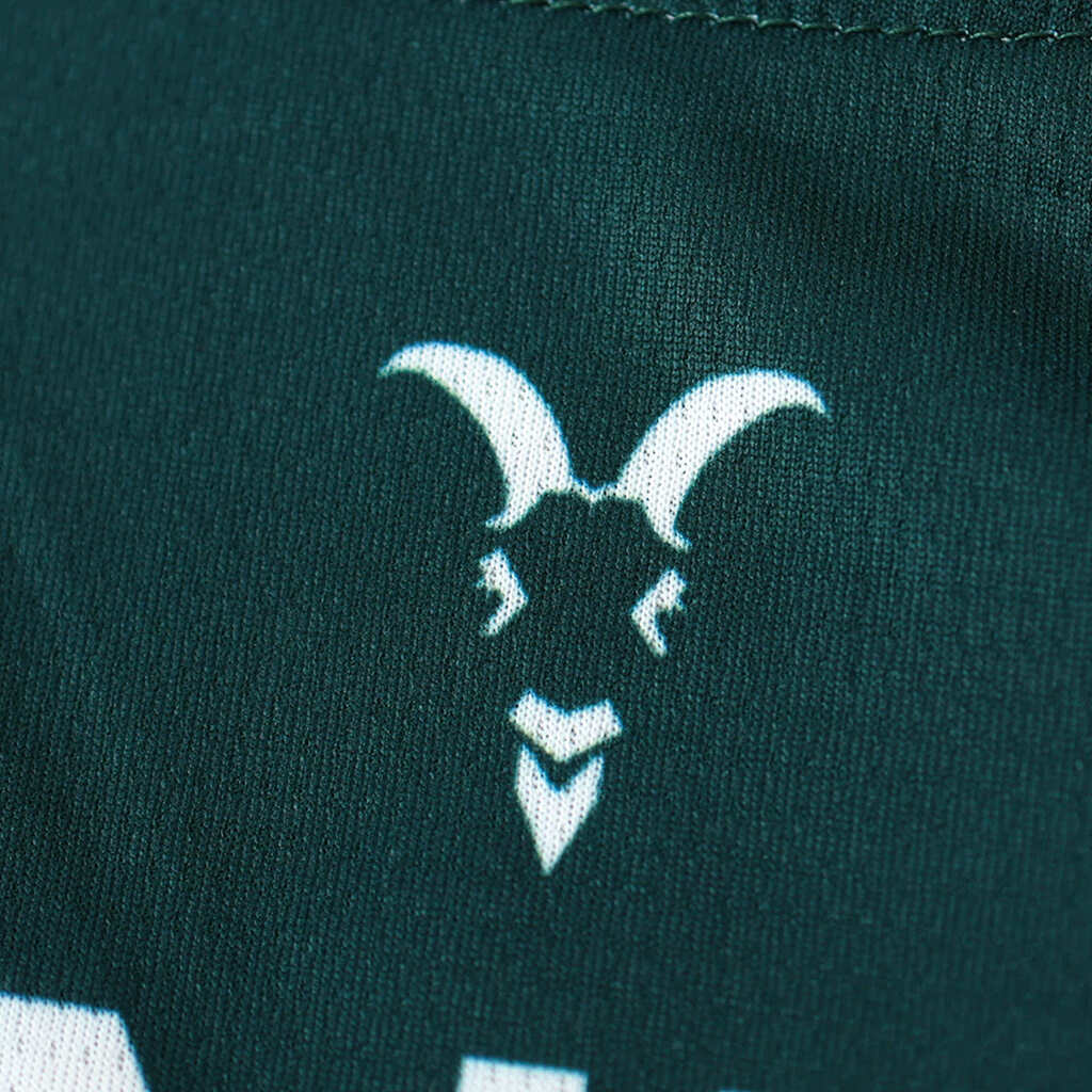 Camisa Chivas Guadalajara III Third 23 24 Masculina Puma Verde