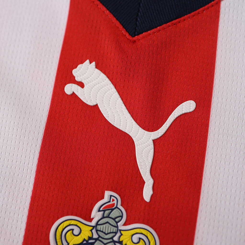 Camisa Chivas Guadalajara I Home 23 24 Masculina Puma Vermelho