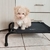 Cama Elevada Para Perro Mini en internet