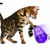Brinquedo Interativo Recheável p/ Gatos Kong Cat Wobbler na internet