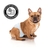 Fralda Descartável Higiênica para Cães Macho Dogs Care GG 12un na internet