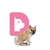 Fralda Higiênica Descartável para Cães Fêmea Dogs Care G 12un - comprar online