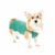 Roupa Pós Cirugirca para Cães Pet Med Regular - Duo Dry - Verde - Tamanho 0 - O Cãoselheiro