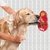 Kong Licks Pequeno - Tapete de Lamber para Cães - loja online