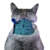 Colar para Sonda Esofágica para Gatos - Pet Med Dry Verde N1 na internet