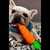 Brinquedo Mordedor Pet para Cachorro Buddy Toys Cenourão Flex - loja online