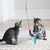Brinquedo Interativo p/ Gato Fat Cat Catfisher Teasers Frog - O Cãoselheiro