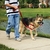 Peitoral Antipuxão p/ Cachorro Pet Safe Easy Walk Preto P na internet