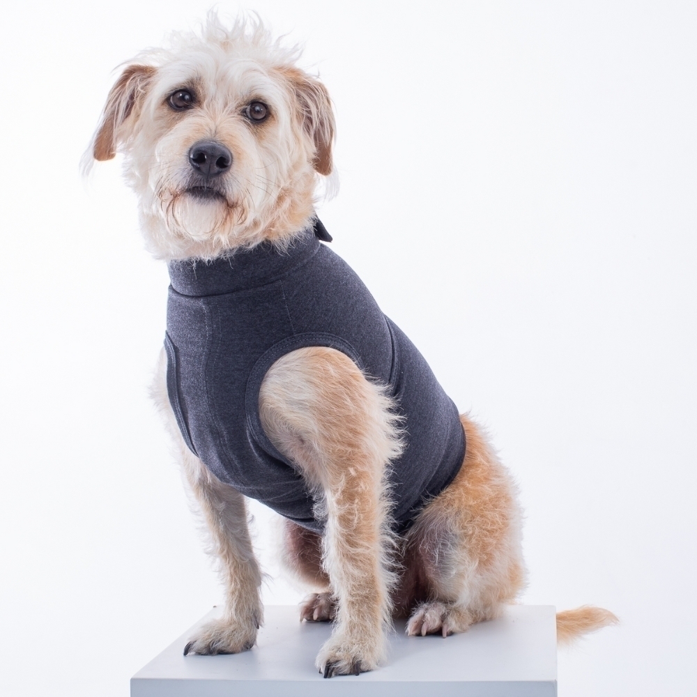 Colete Anti-Estresse para Cães - Acalma e ajuda a reduzir a Ansiedade