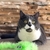 Brinquedo p/ Gato JW Cataction Featherlite Squeaky na internet