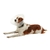 Colar Elizabetano Pet p/ Cachorro Kruuse Buster Clic 15cm - comprar online